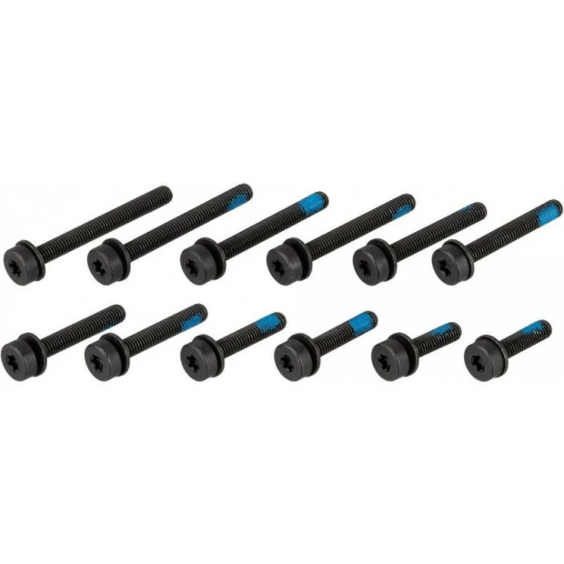 Vis Magura M5 Pour Montage Flatmount D'Etrier De Frein Arrière - X12 4 Vis Magura M5 Pour Montage Flatmount D'Etrier De Frein Arrière - X12 – Image 2