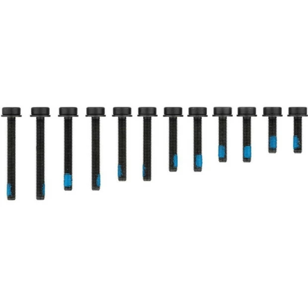 Vis Magura M5 Pour Montage Flatmount D'Etrier De Frein Arrière - X12 3 Vis Magura M5 Pour Montage Flatmount D'Etrier De Frein Arrière - X12